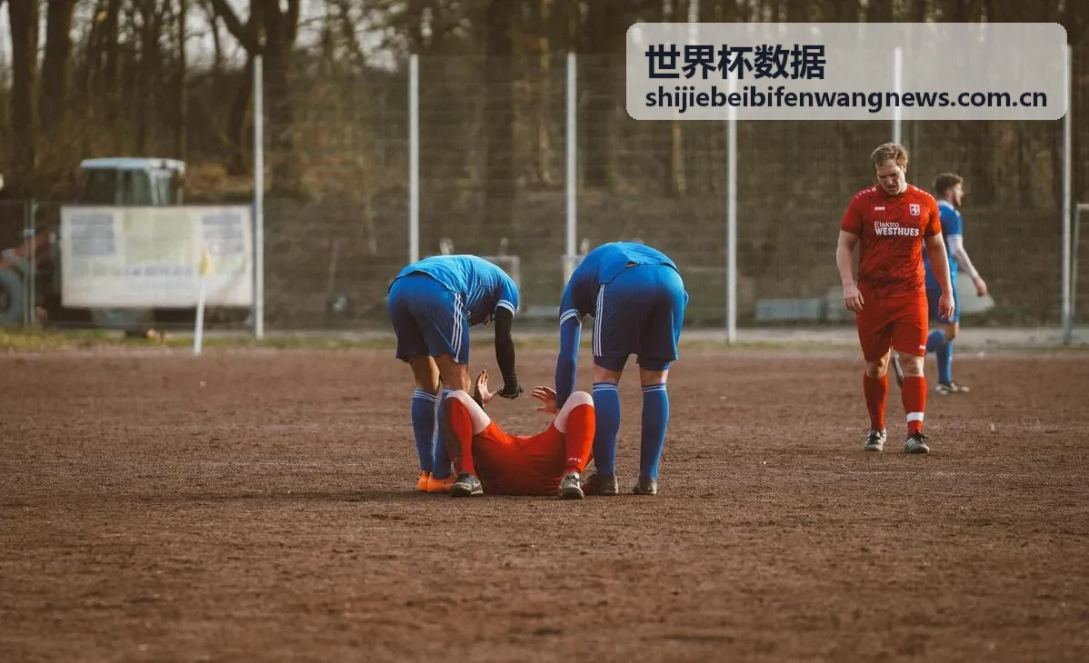 世界杯数据 球队数据 法国队统计